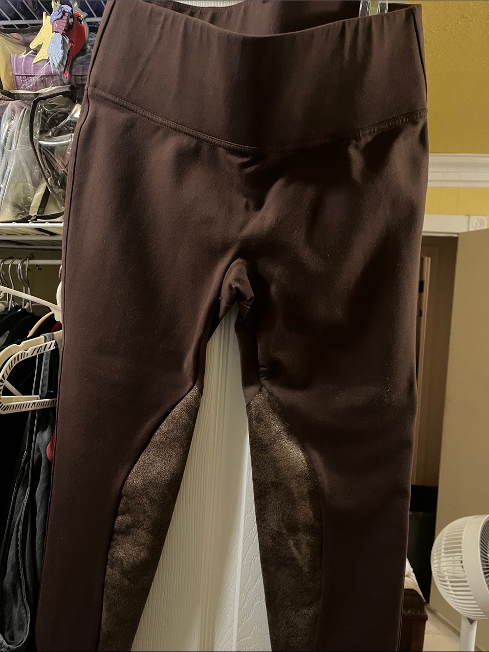 Women’s spanx Brown Equestrian-Style Riding leggings